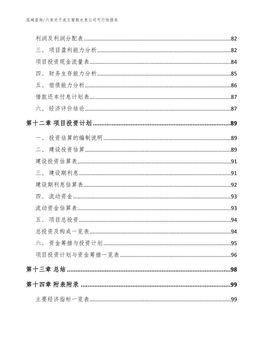 六安关于成立智能水表公司可行性报告【范文模板】_第5页