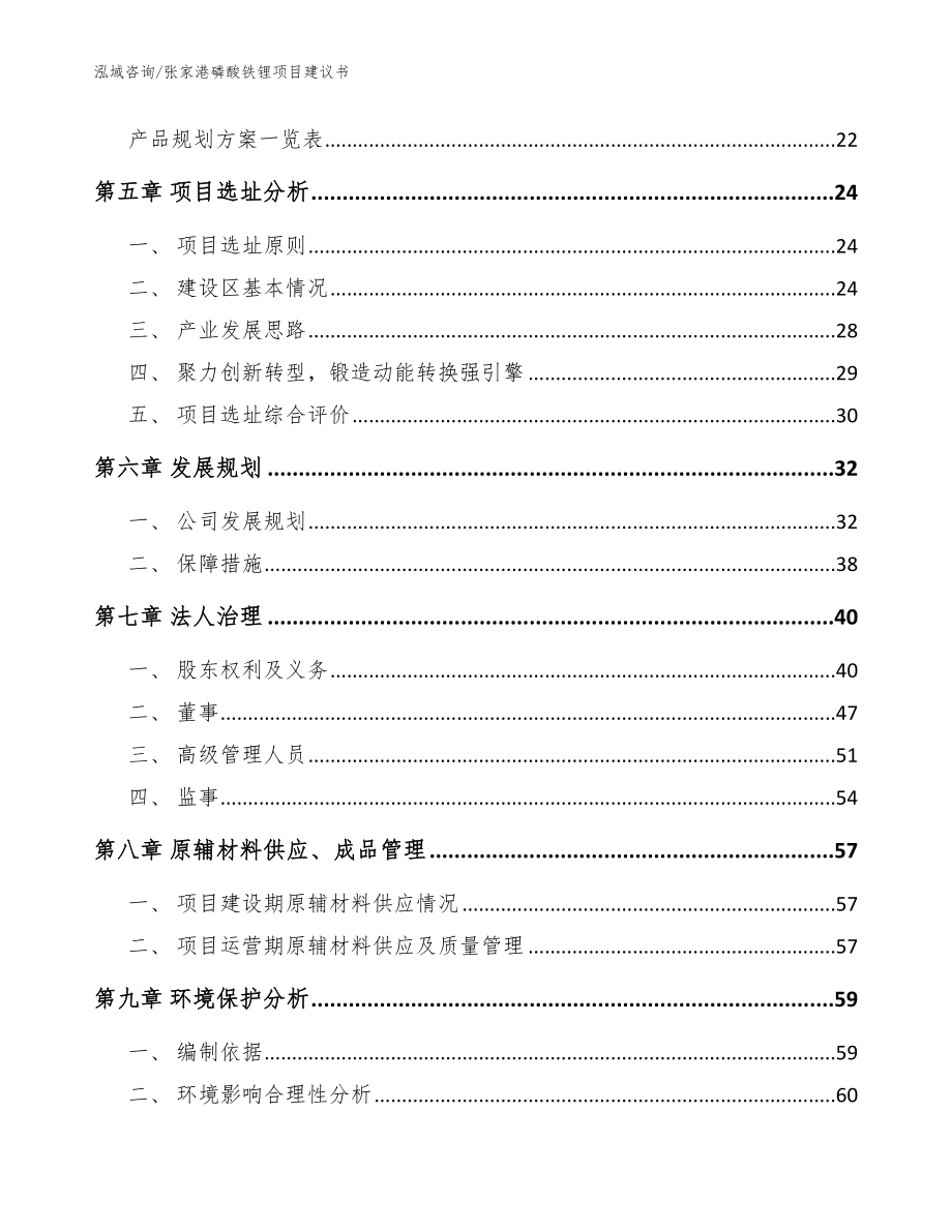 张家港磷酸铁锂项目建议书_第3页