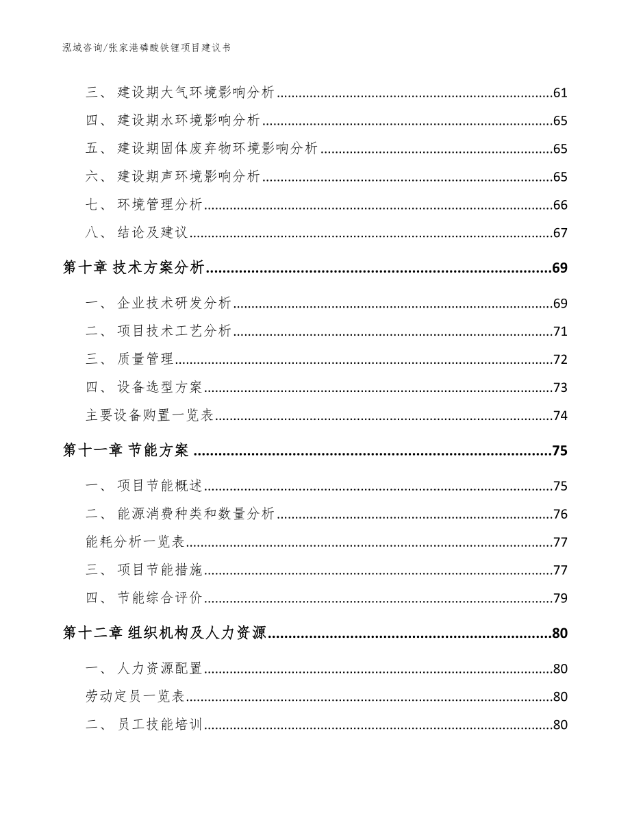 张家港磷酸铁锂项目建议书_第4页