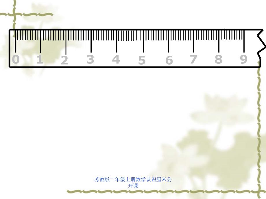 苏教版二年级上册数学认识厘米公开课课件_第4页