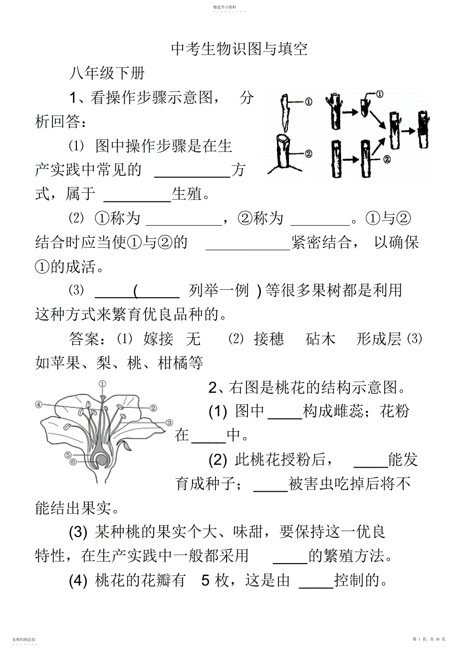 2022年生物中考识图题_第1页