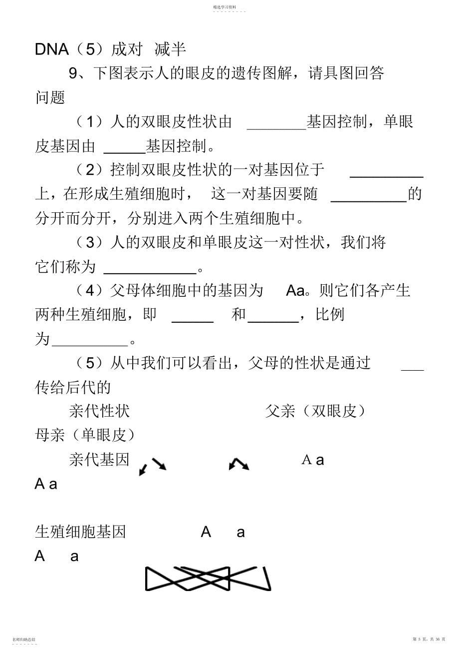 2022年生物中考识图题_第5页