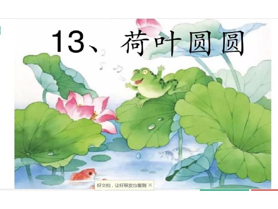 课文13荷叶圆圆_第1页