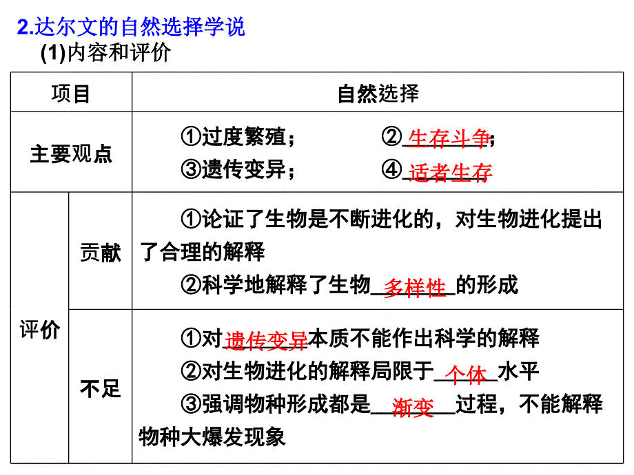 必修2遗传与进化_第4页