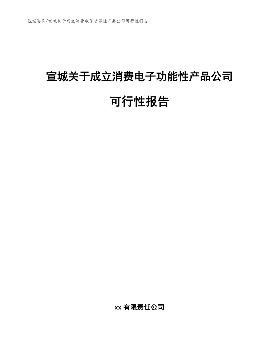 宣城关于成立消费电子功能性产品公司可行性报告【模板】_第1页