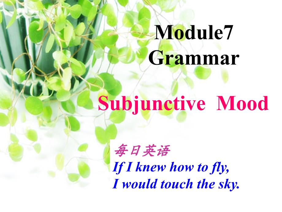 M7Grammar虚拟语气2_第1页