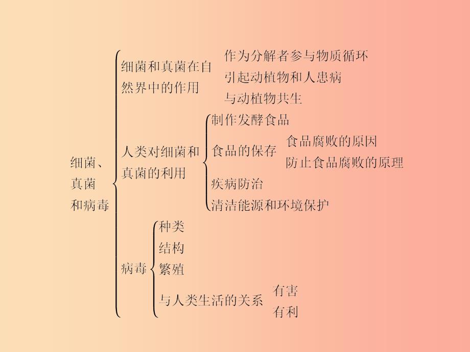 八年级生物上册 第五单元 第4 5章整合课件 新人教版.ppt_第3页