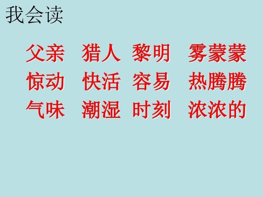 人教版小学语文二年级上册《父亲和鸟》PPT课件_第5页