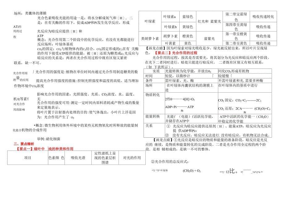 专题四光合作用与呼吸作用总结_第5页