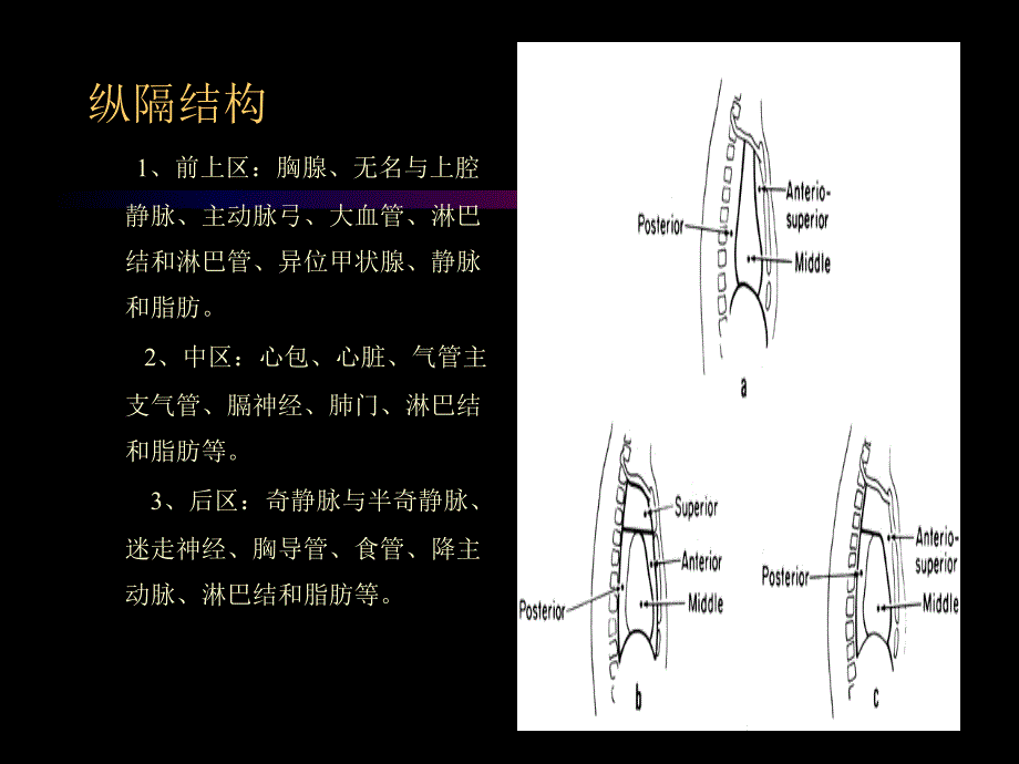 纵隔肿瘤的放射治疗_第4页