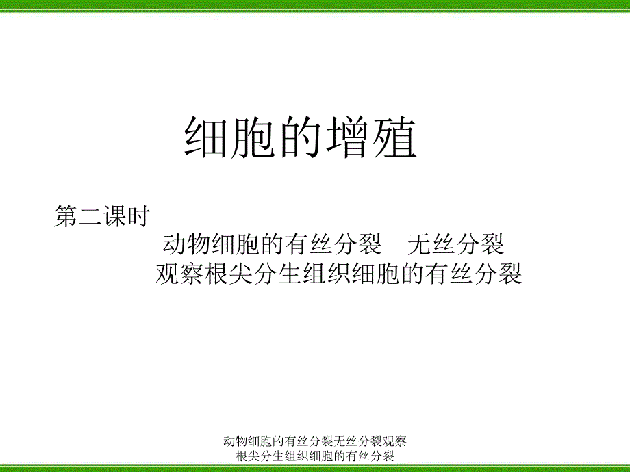 动物细胞的有丝分裂无丝分裂观察根尖分生组织细胞的有丝分裂课件_第1页