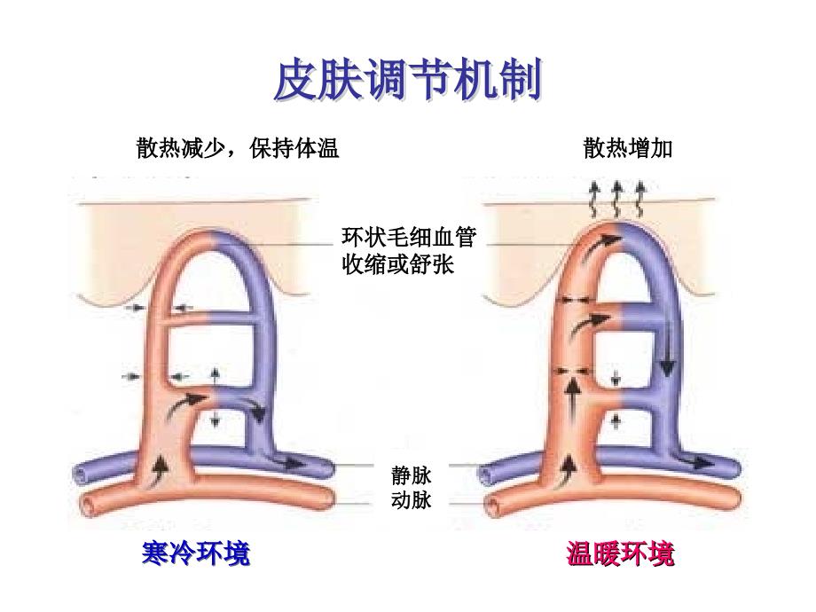 体温异常及管理_第3页