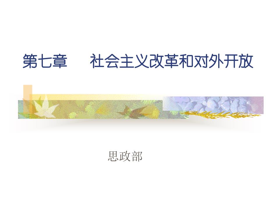 第七章社会主义改革和对外开放_第1页