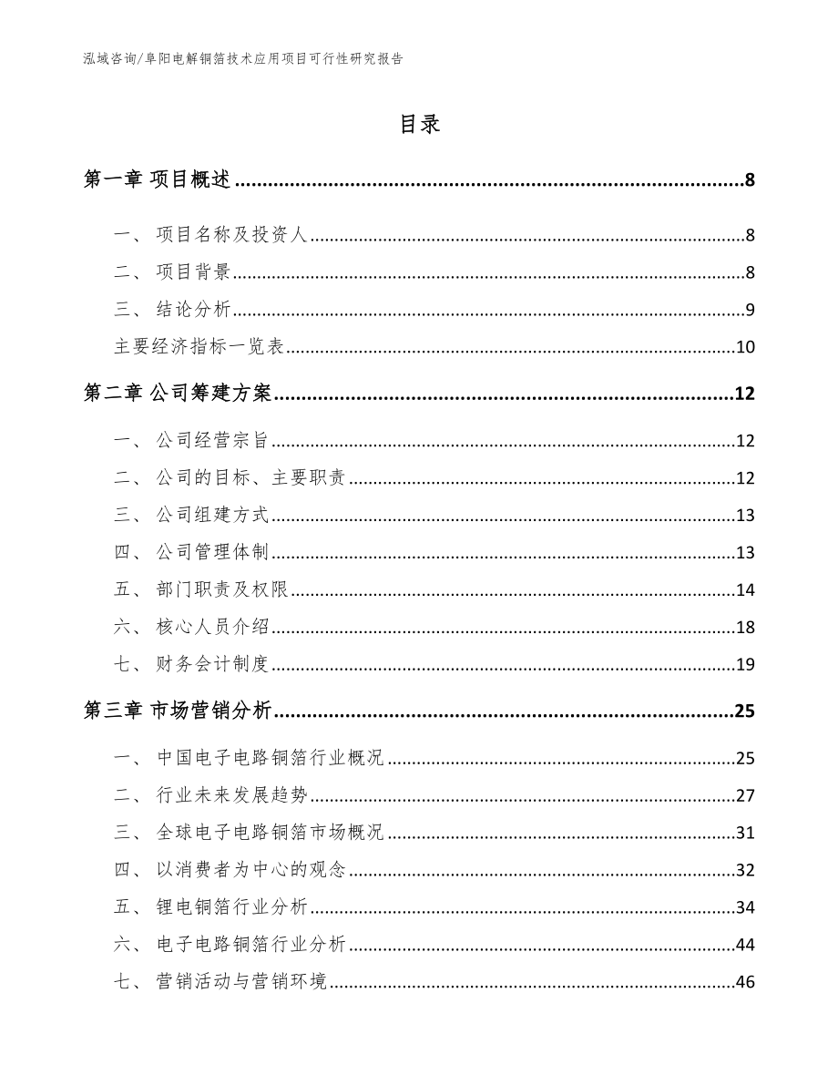 阜阳电解铜箔技术应用项目可行性研究报告模板_第2页