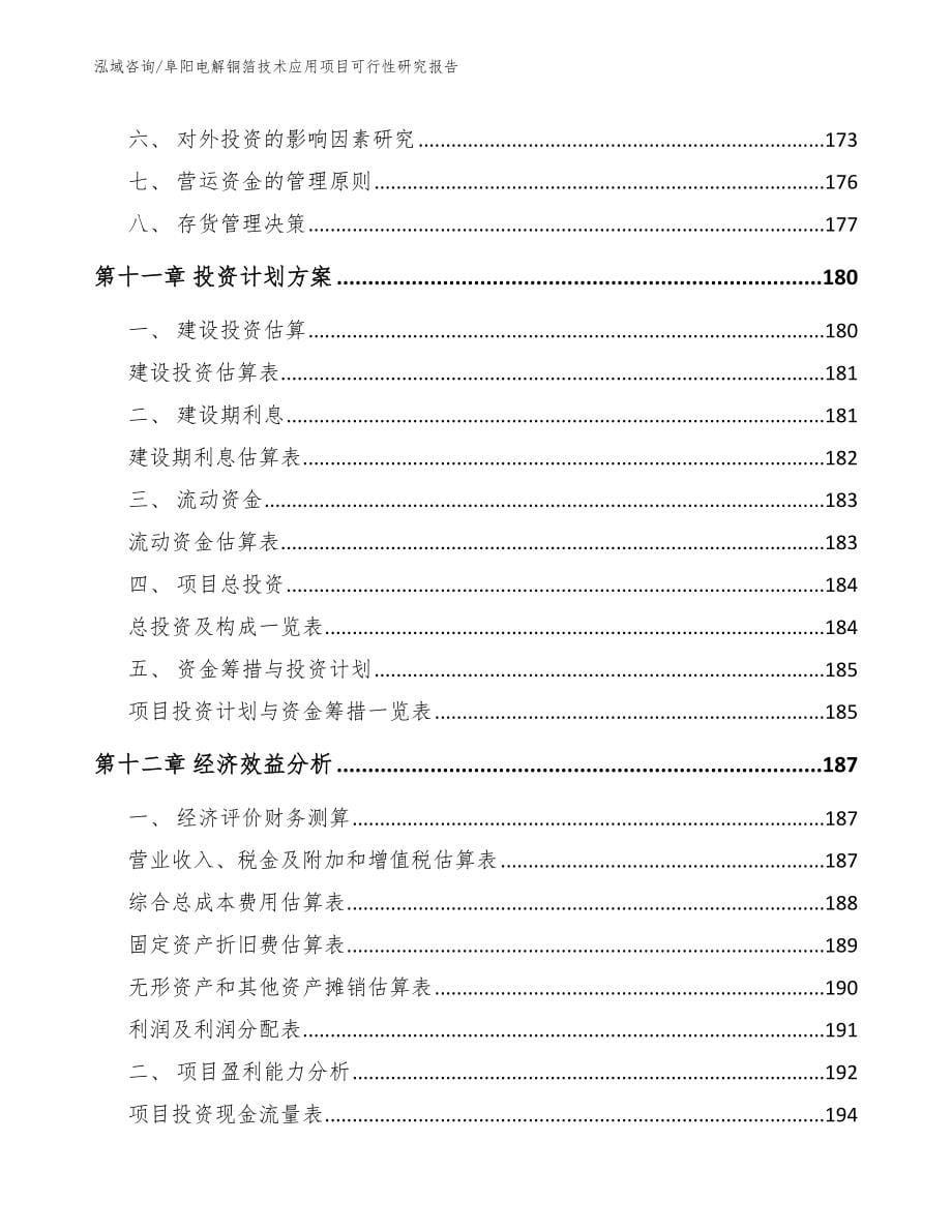 阜阳电解铜箔技术应用项目可行性研究报告模板_第5页