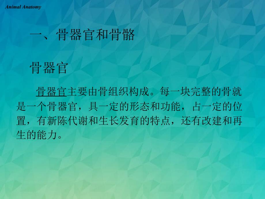 骨骼系统骨骼课件_第4页