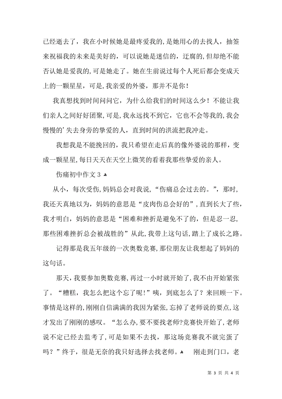 伤痛初中作文_第3页