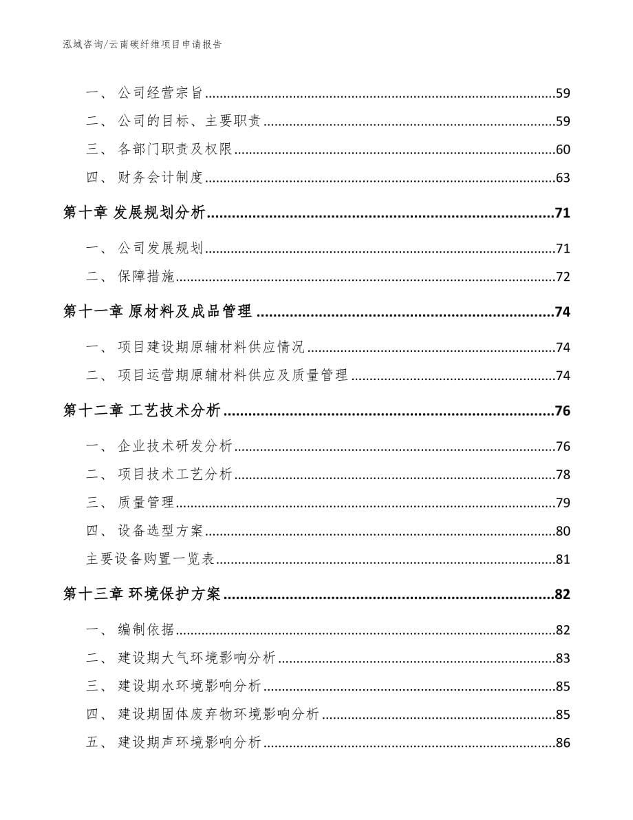 云南碳纤维项目申请报告（模板）_第5页