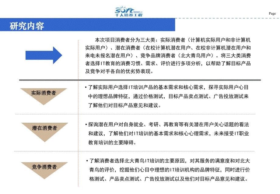 某集团IT职业培训目标消费者研究报告_第5页