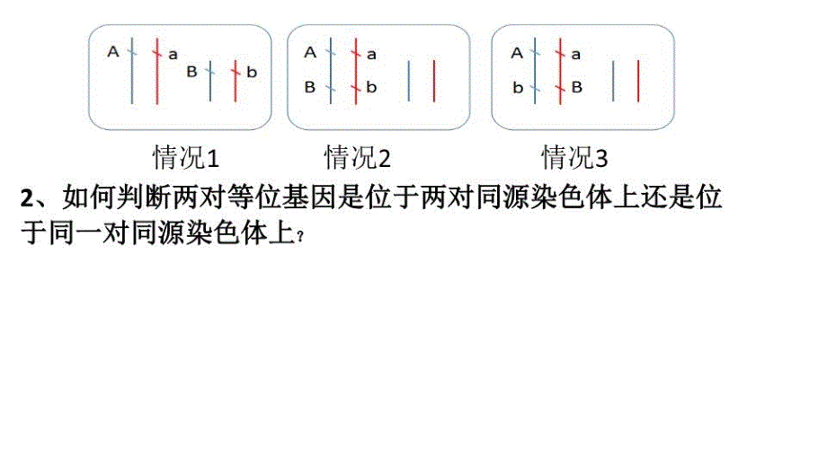 两对基因位置关系的探寻学习资料_第3页