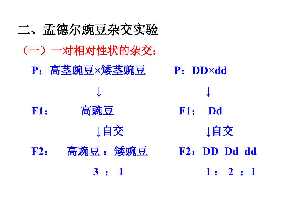 人教版生物必修2复习要点_第3页