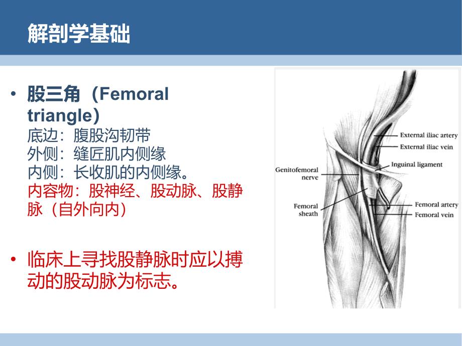 股静脉穿刺置管术.ppt_第4页