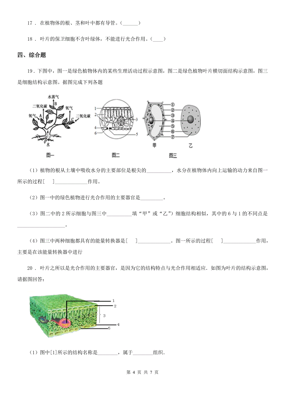 人教版（新课程标准）七年级上生物寒假作业-作业十八_第4页