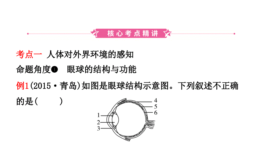 13第四单元第六七章_第1页