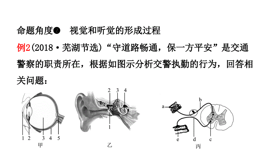 13第四单元第六七章_第4页