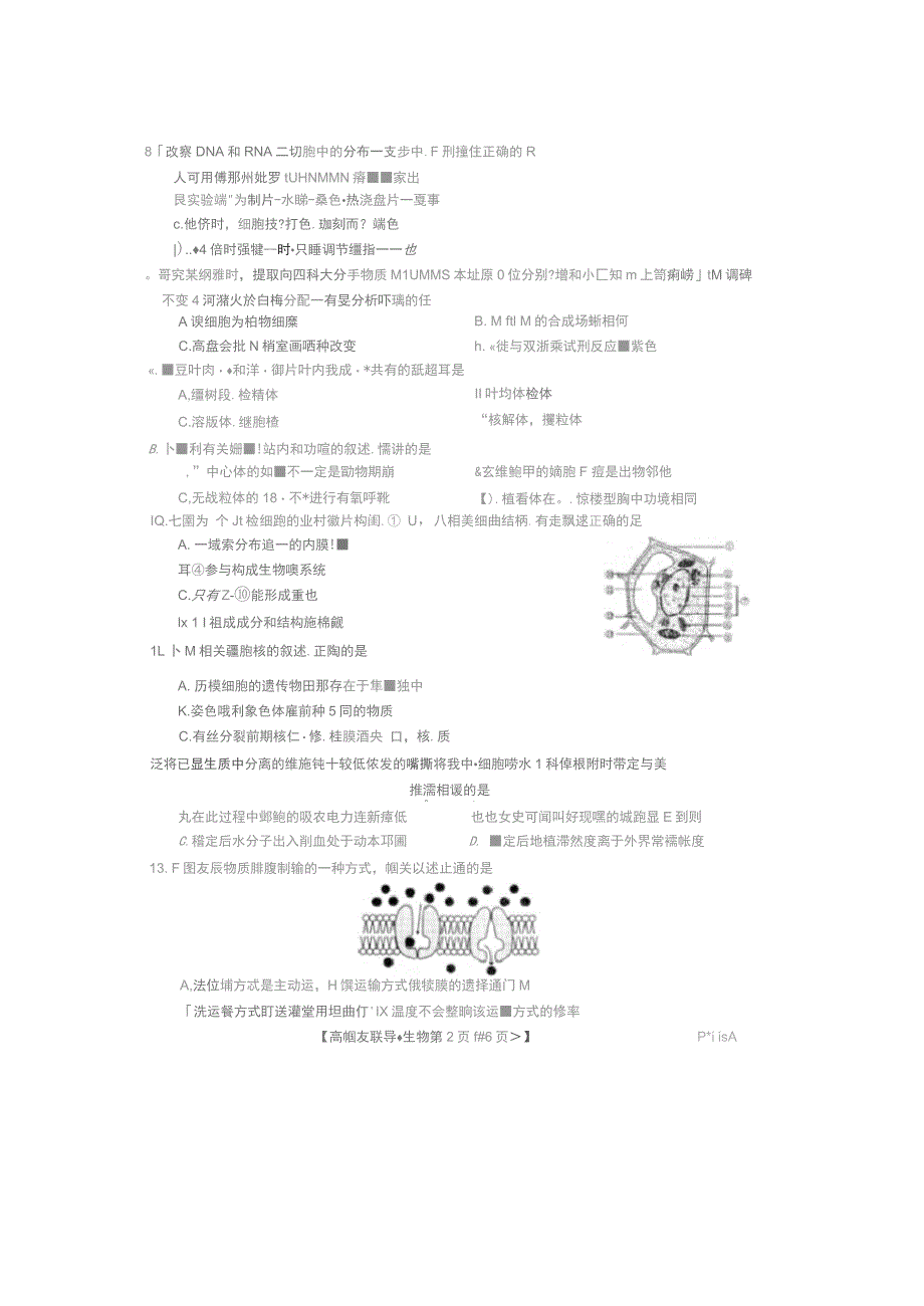 吉林省辉南县一中2018-2019学年高一生物上学期期末考试试题(无答案)_第2页