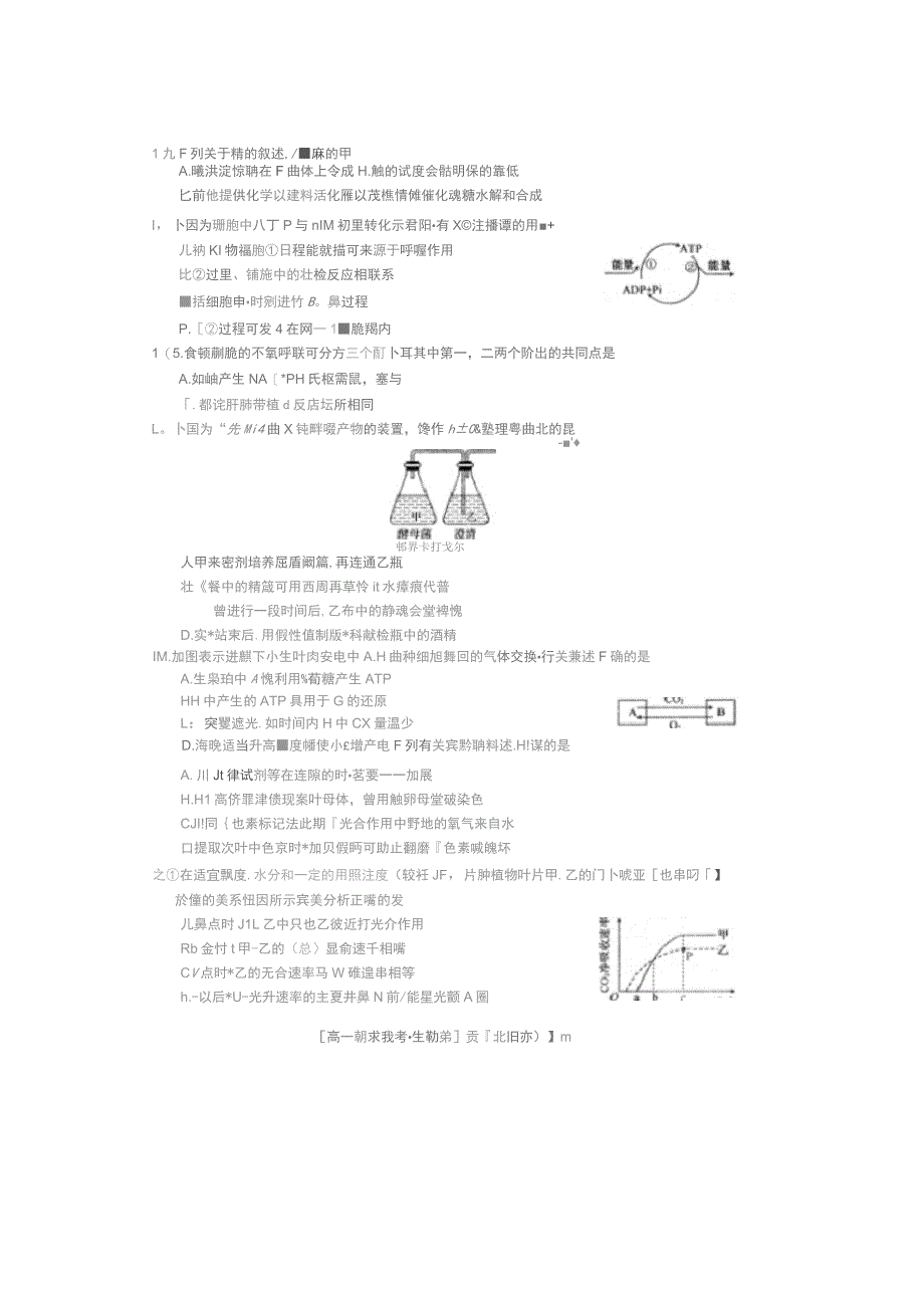 吉林省辉南县一中2018-2019学年高一生物上学期期末考试试题(无答案)_第3页