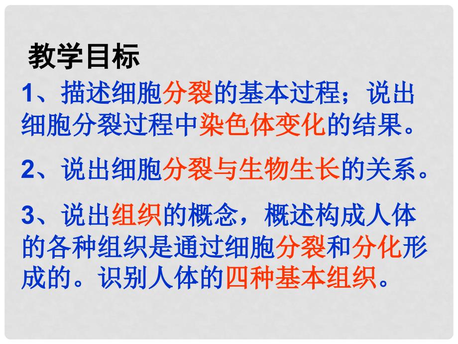 安徽省长丰县下塘实验中学七年级生物上册《2.2.1 细胞通过分裂产生新细胞》课件 （新版）新人教版_第2页