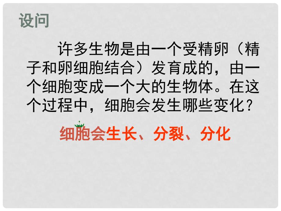 安徽省长丰县下塘实验中学七年级生物上册《2.2.1 细胞通过分裂产生新细胞》课件 （新版）新人教版_第4页