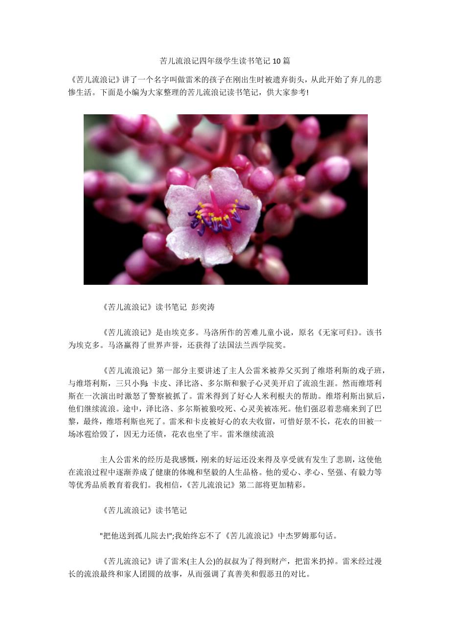 苦儿流浪记四年级学生读书笔记10篇-.docx_第1页