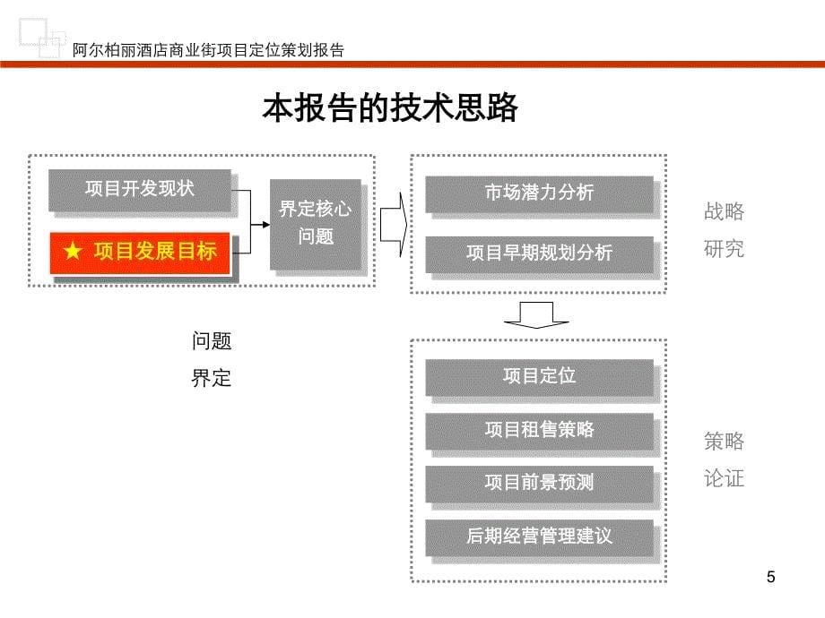 (精品文案)阿尔柏丽酒店bobo商业街项目定位策划报告_第5页