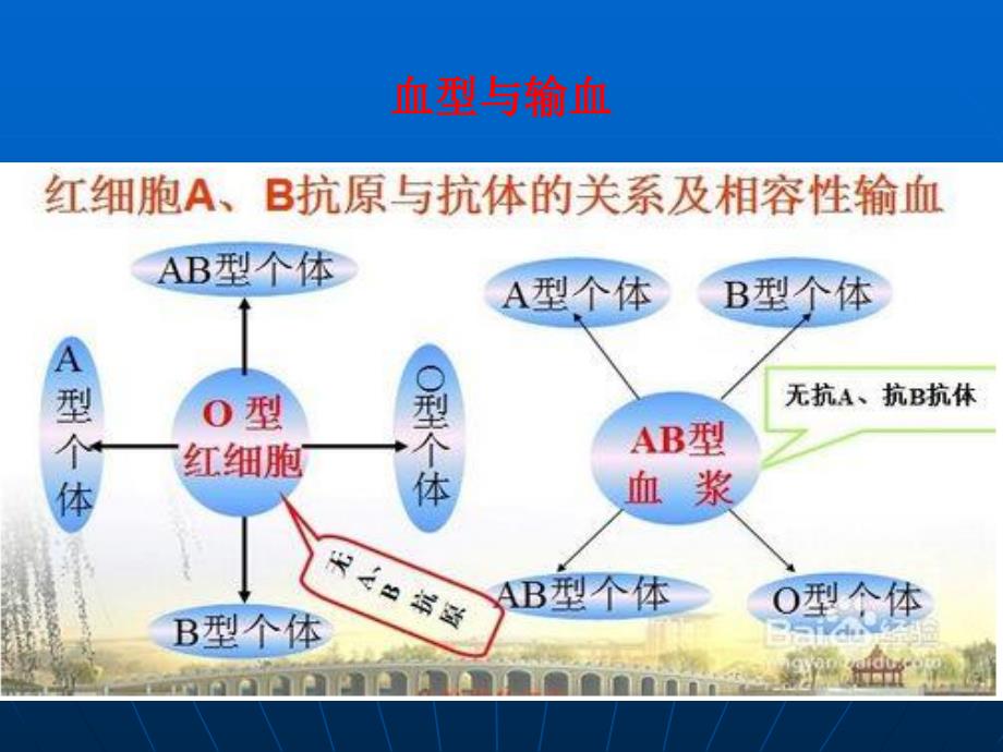 《外科学课件输血》PPT课件_第4页