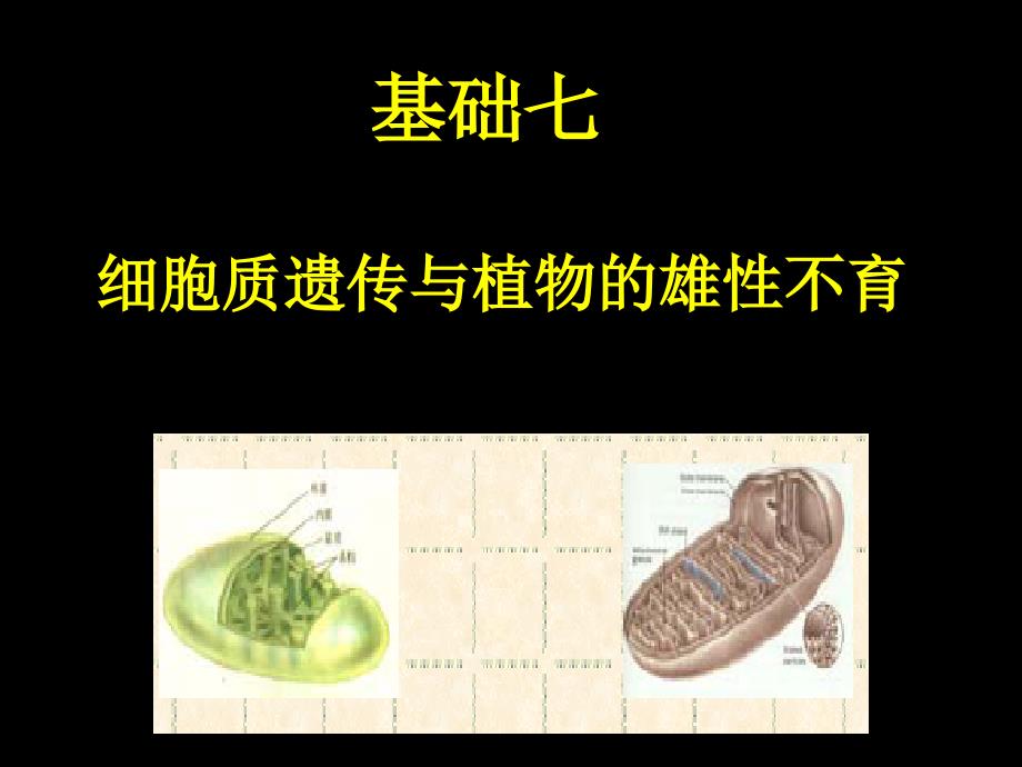 细胞质遗传与植物的雄性不育PPT精品文档_第1页