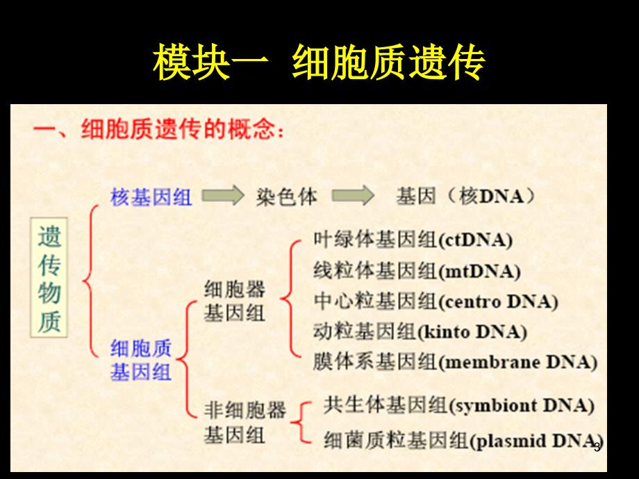 细胞质遗传与植物的雄性不育PPT精品文档_第3页