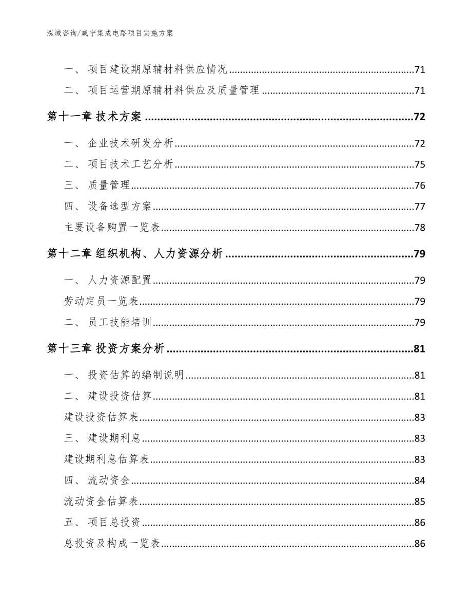 咸宁集成电路项目实施方案_模板范本_第5页