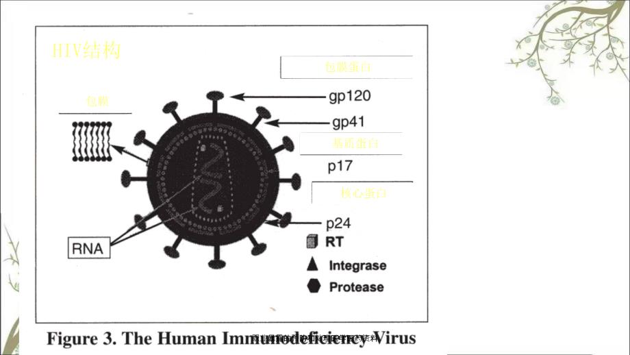 职业暴露的预防和处理医学医药资料课件_第2页