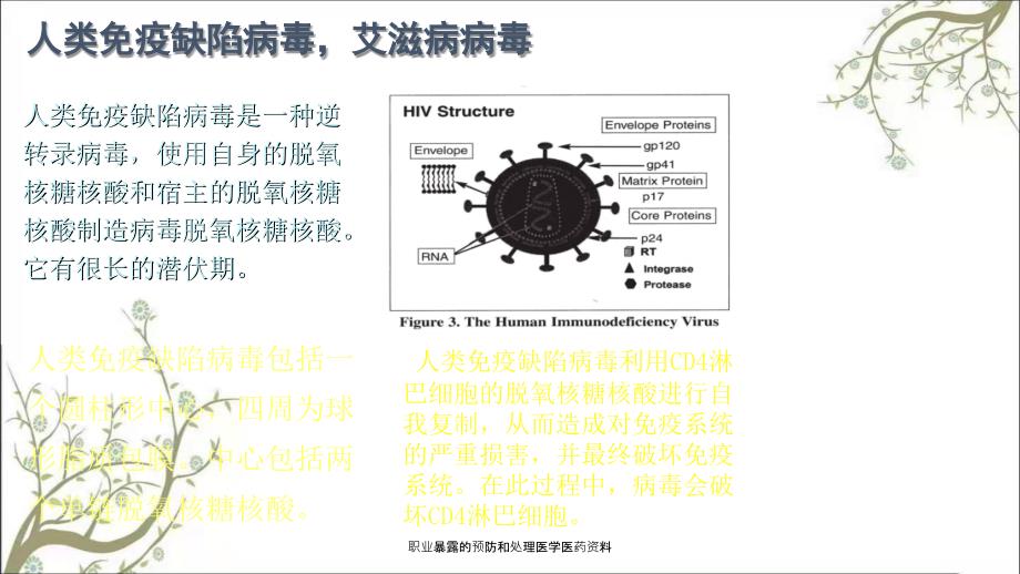 职业暴露的预防和处理医学医药资料课件_第3页