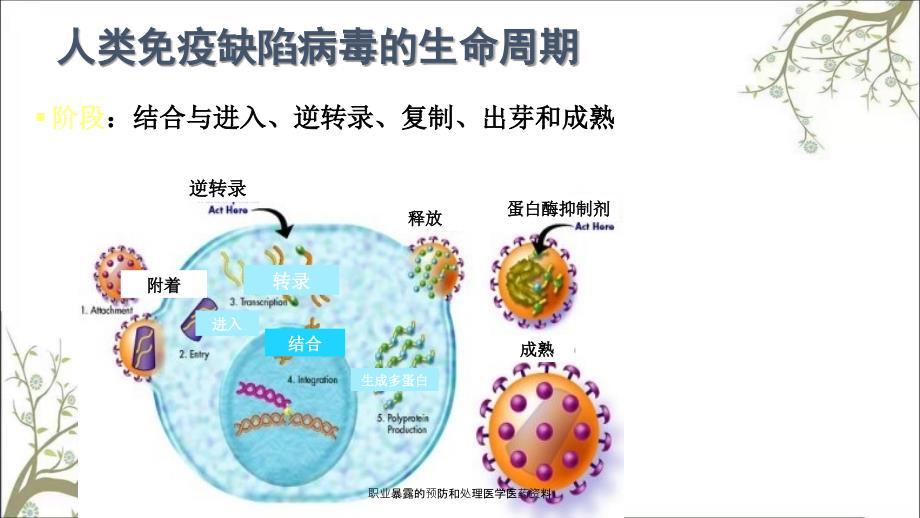 职业暴露的预防和处理医学医药资料课件_第4页