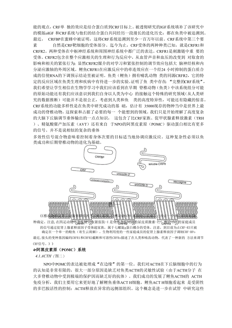 鱼类中CRF应激的翻译_第4页