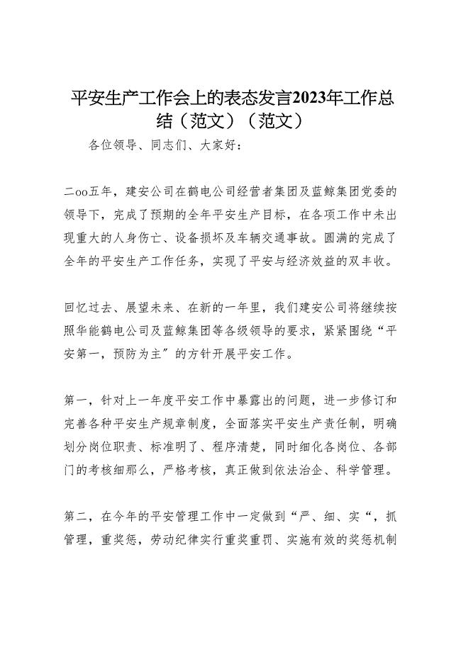 2023年安全生产工作会上的表态发言工作总结（范文）.doc