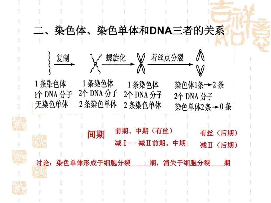 细胞分裂过程中染色体形态结构、数量、行为变化.ppt_第5页