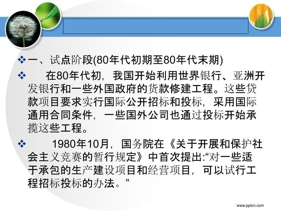 招标投标稽查执法丁树臣_第5页