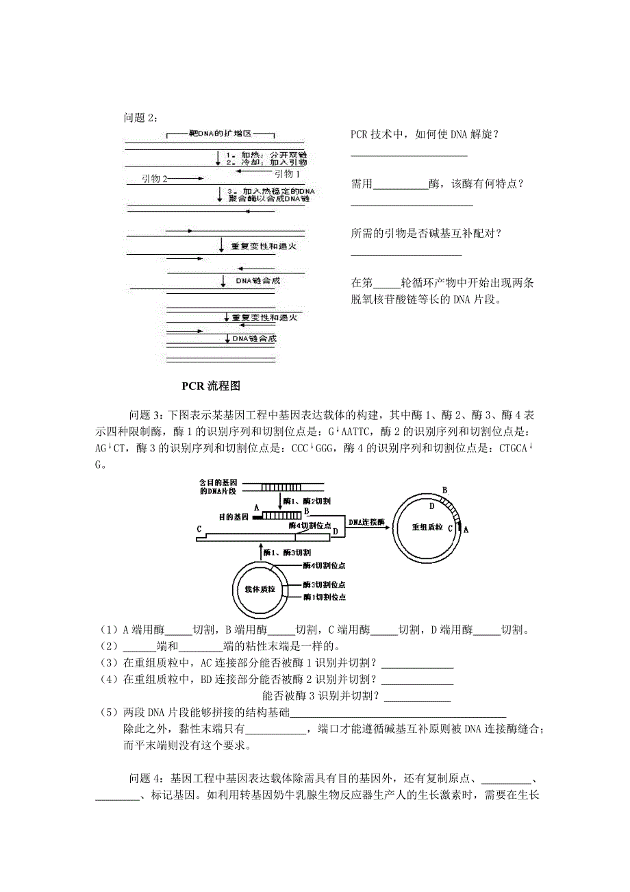 常州二中基因工程1_第4页