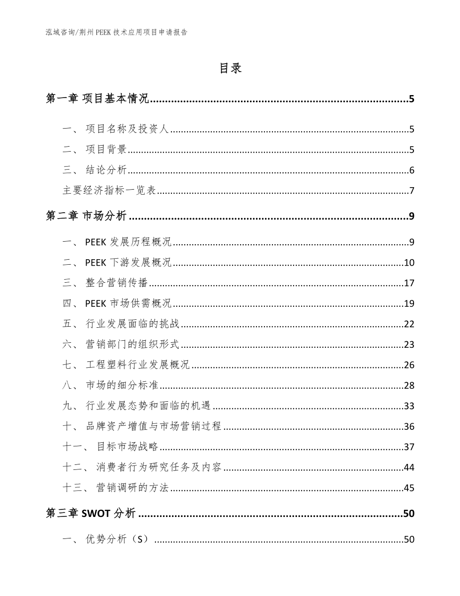 荆州PEEK技术应用项目申请报告_第1页