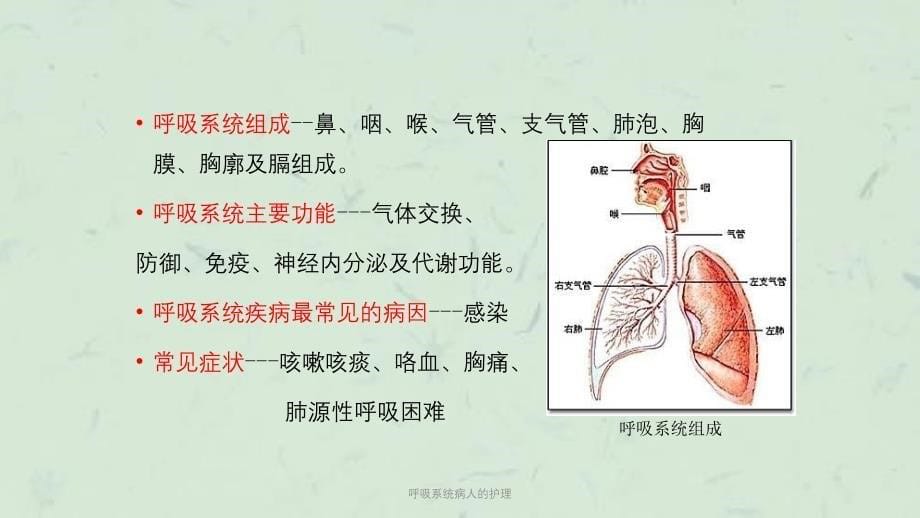 呼吸系统病人的护理课件_第5页