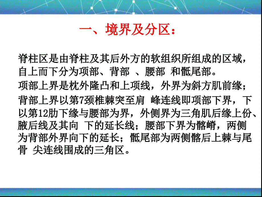 脊柱区局部解剖学ppt课件_第3页